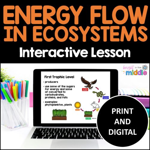 flow-of-energy-in-ecosystems