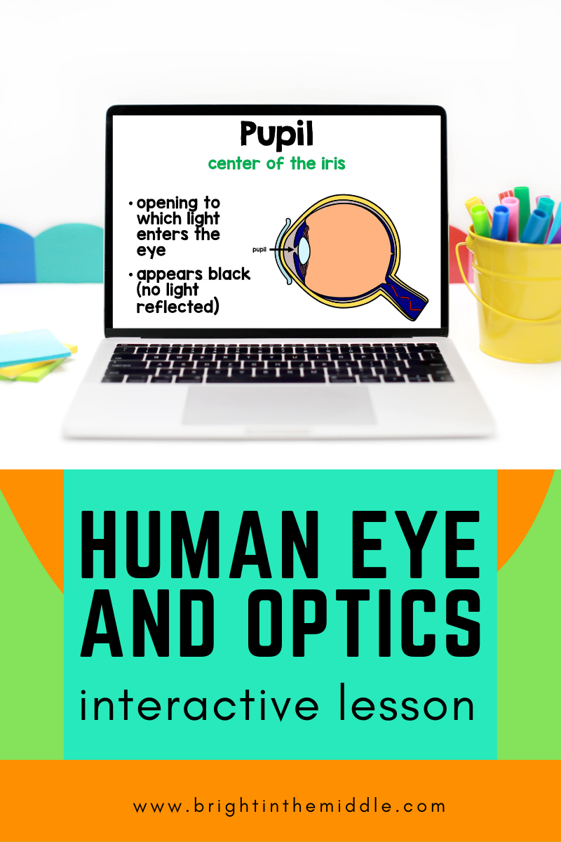 human eye and optic interactive lesson
