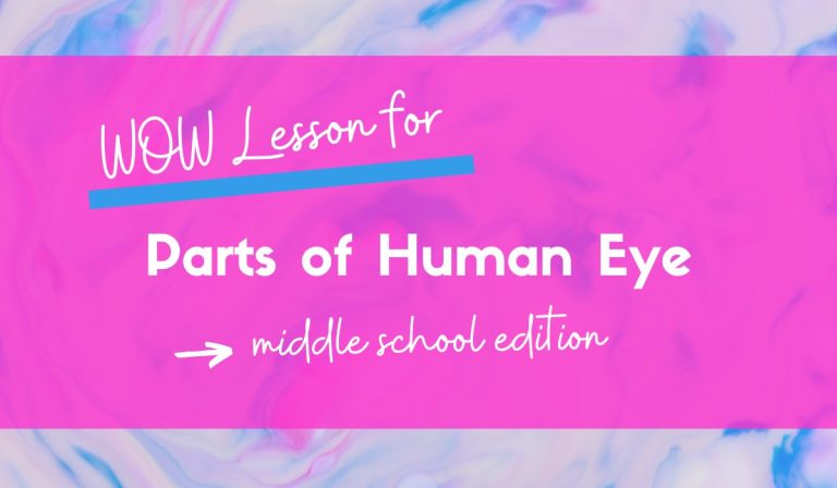 7 Awesome WOW Factor Lesson Ideas for Parts of a Human Eye