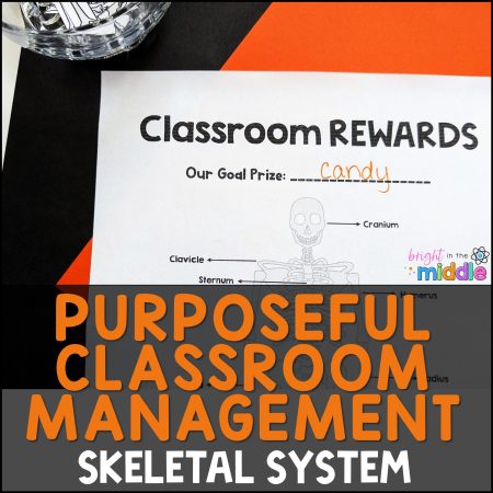 science classroom management tool - skeletal system