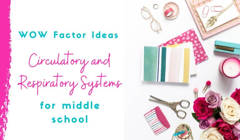 7 WOW Factor Lesson Ideas for the Circulatory and Respiratory Systems