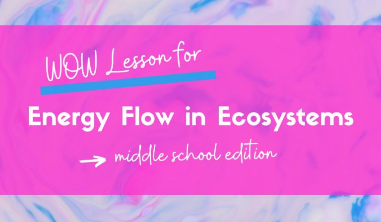 7 Ideas for an Energy Flow in Ecosystems WOW Factor Lesson