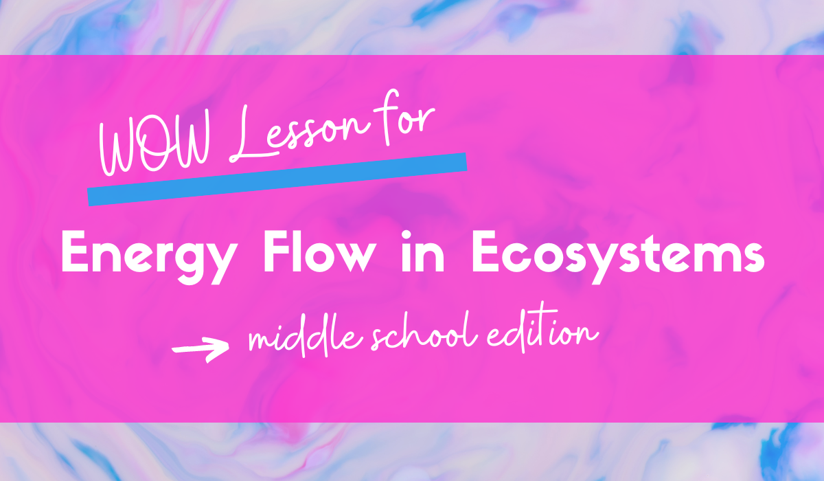 energy-flow-ecosystems