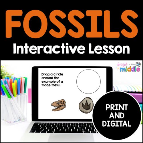 fossils-lesson-1