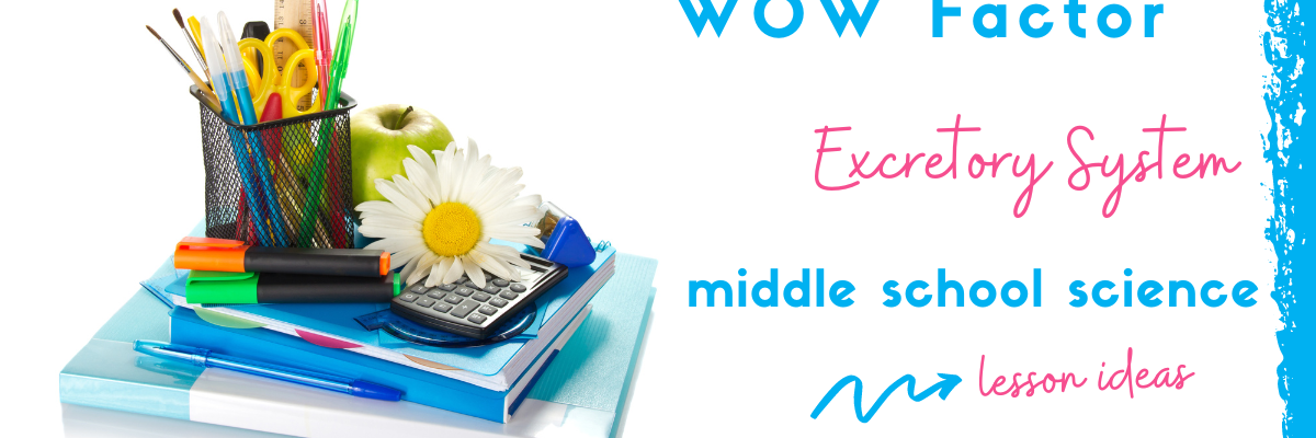 what-excretory-system-activity-will-you-choose