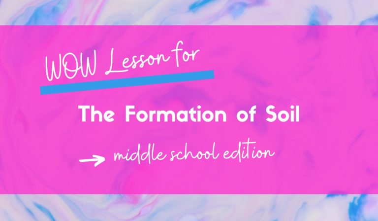 5 WOW Factor Activities for Teaching The Formation of Soil