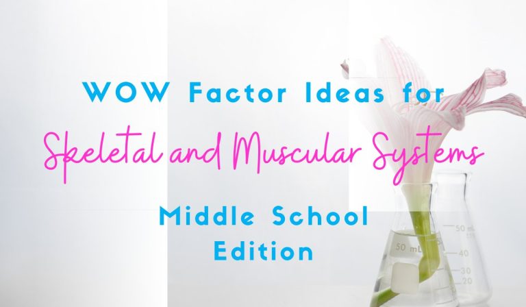 5 Skeletal and Muscular System Activities to Bring the WOW Factor