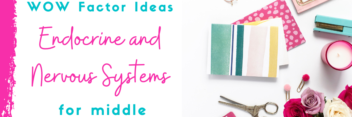 endocrine and nervous systems lesson plan