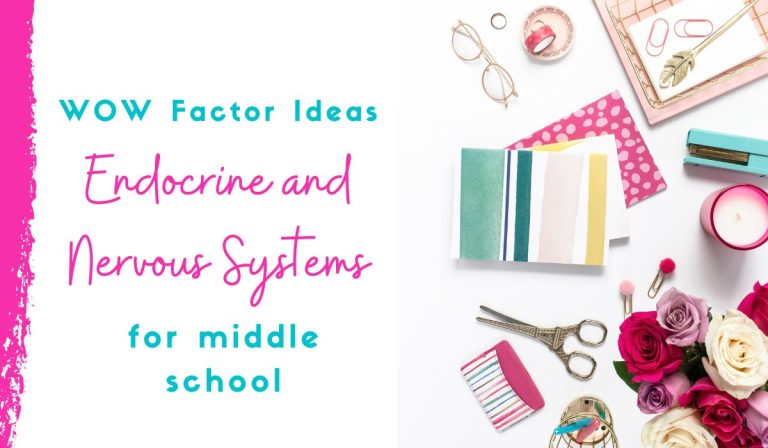 5 WOW Factor Ideas to Teach the Endocrine and Nervous System Relationship