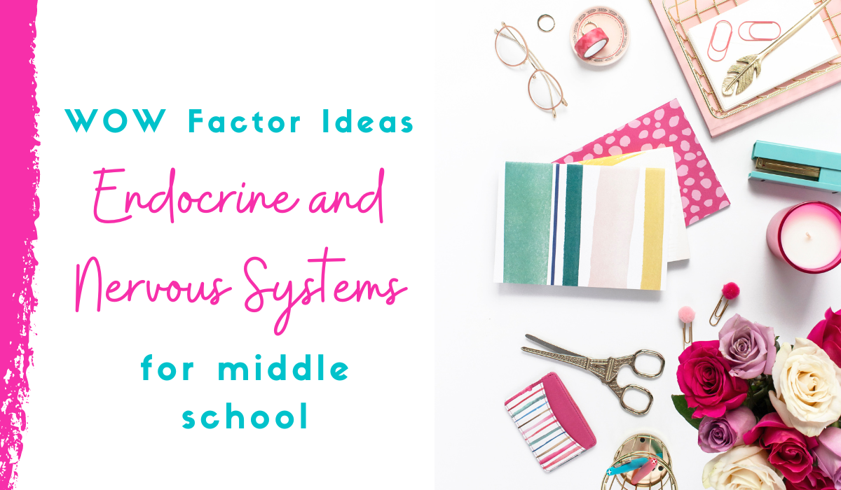 endocrine and nervous systems lesson plan