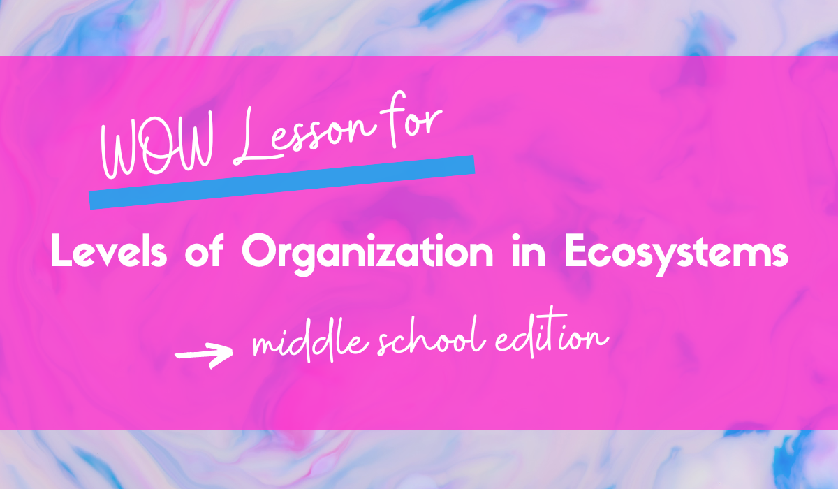 Levels of Organization of an Ecosystem