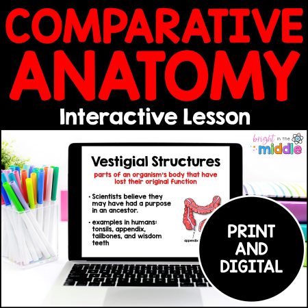 comparative anatomy lesson