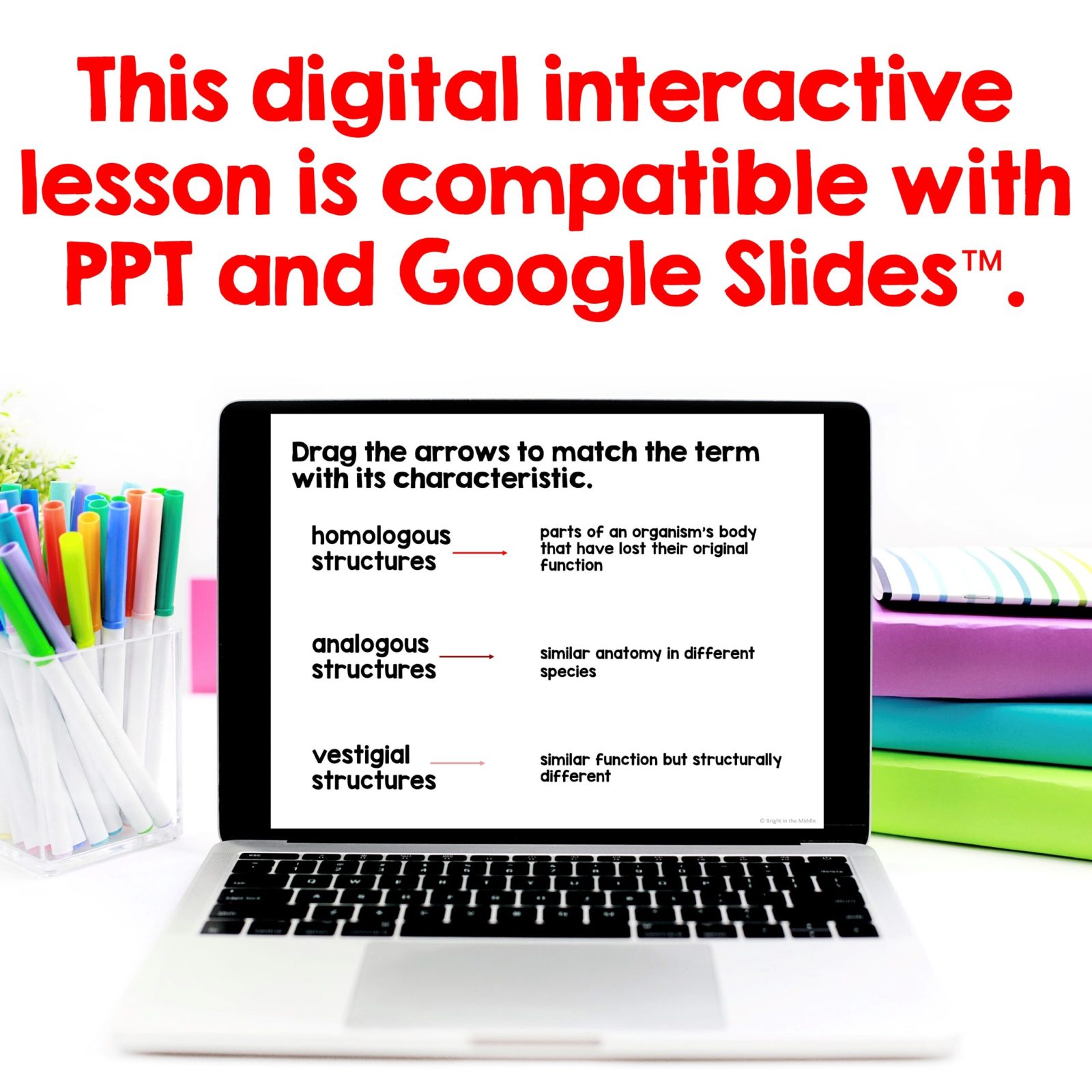 comparative-anatomy-2