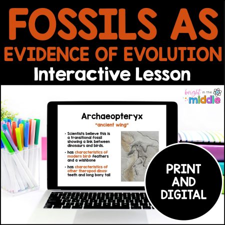 evidence of evolution fossils lesson