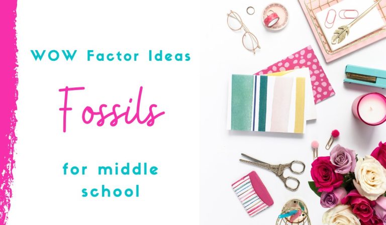 7 Ways to Teach the Types of Fossils with the WOW Factor