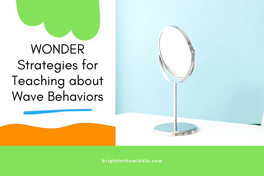 how do waves behave - wonder strategies - picture of mirror on stand