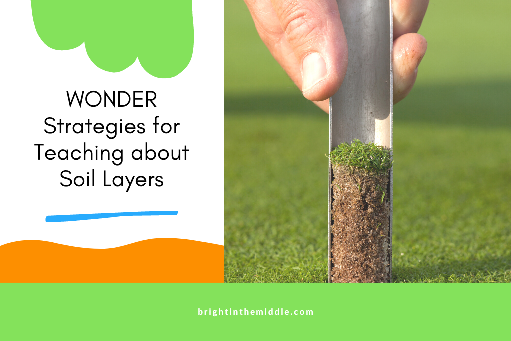 what are the layers of the soil - soil profile activity - picture of soil sample