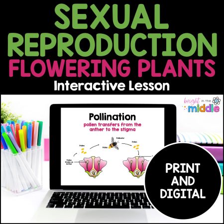 sexual reproduction in flowering plants lesson