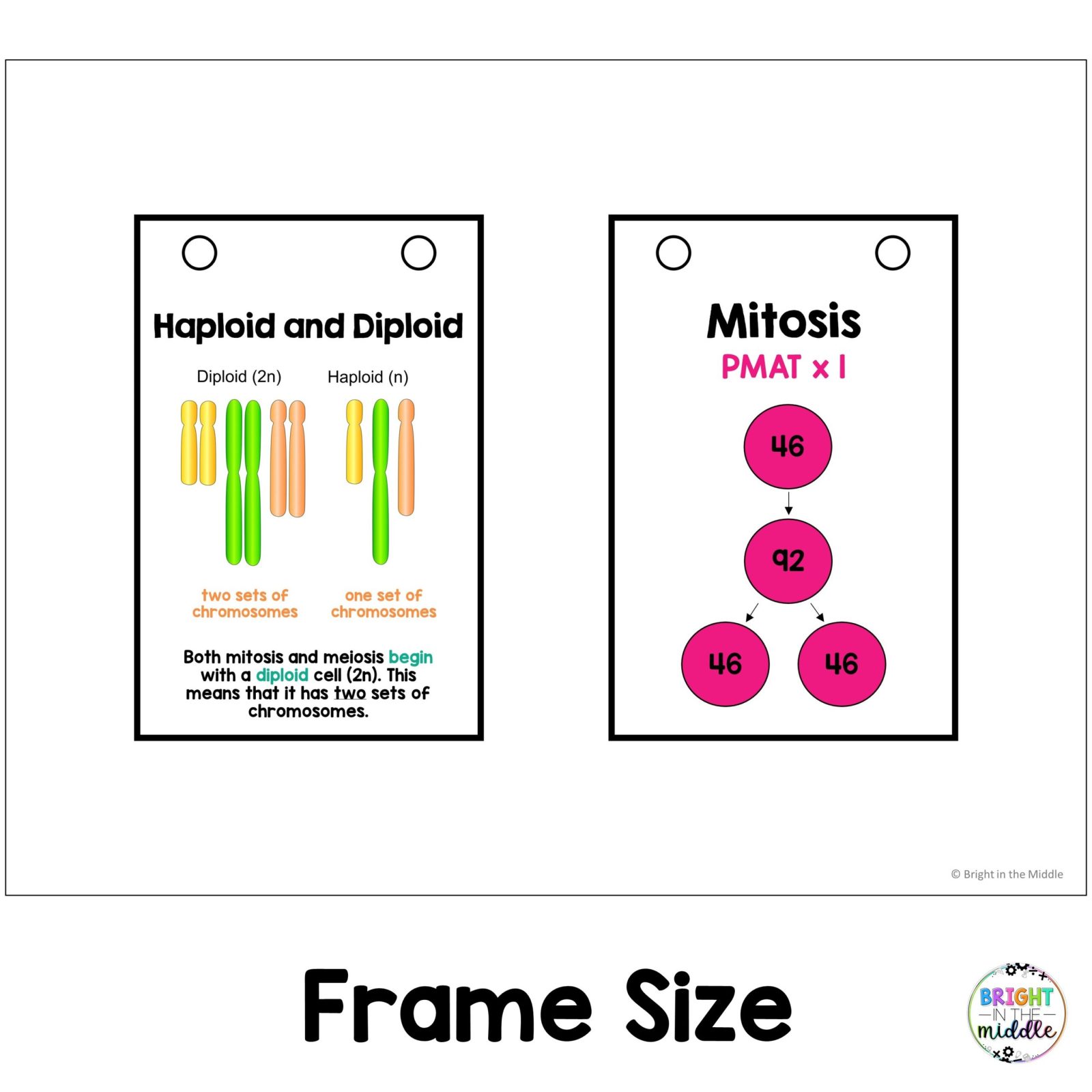 genetics anchor chart 2