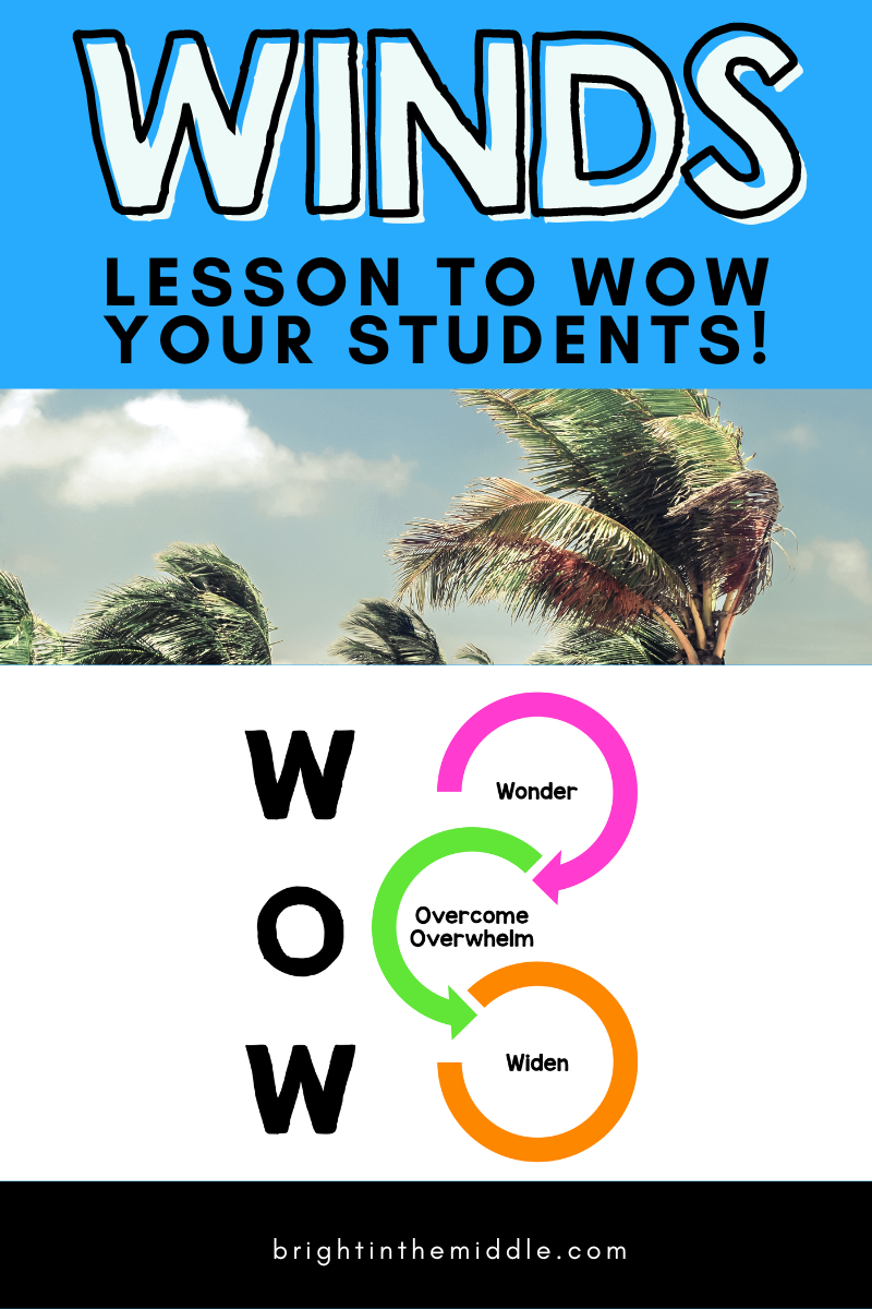 global winds and local winds wow factor lesson - picture of palm trees blowing