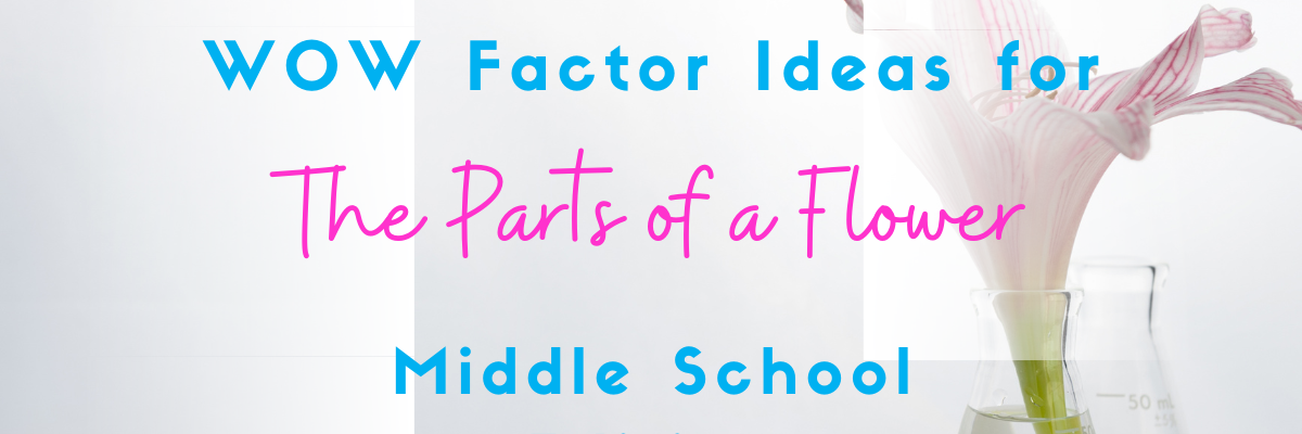 main-parts-of-a-flower-and-their-functions