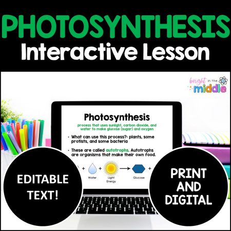 photosynthesis lesson middle school