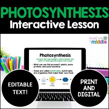 photosynthesis lesson middle school