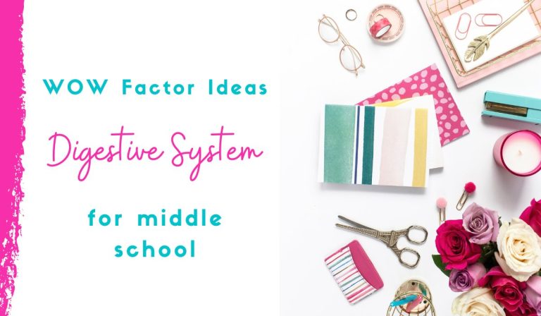 7 Digestive System Lesson Ideas to Bring the WOW Factor