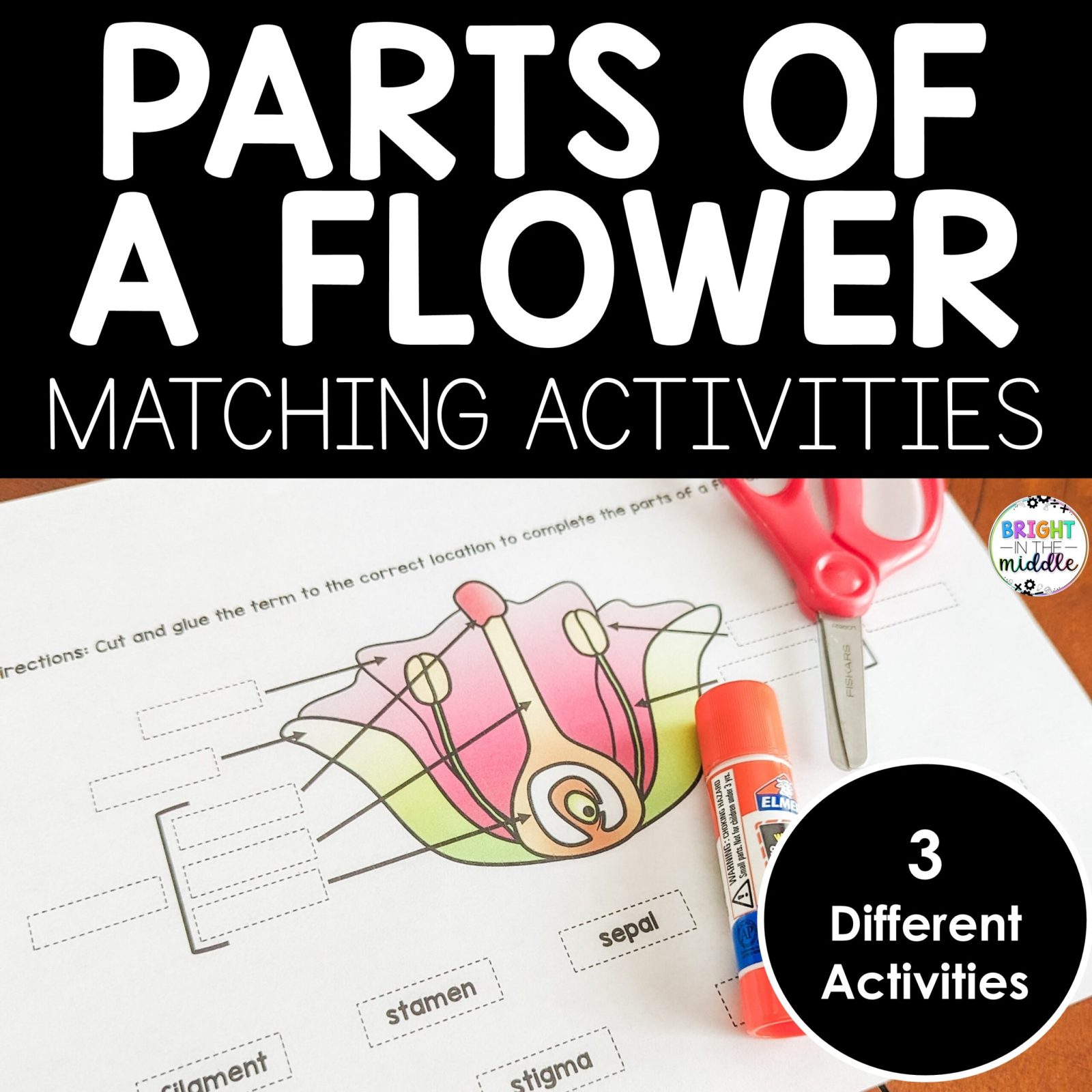 Flower parts activities
