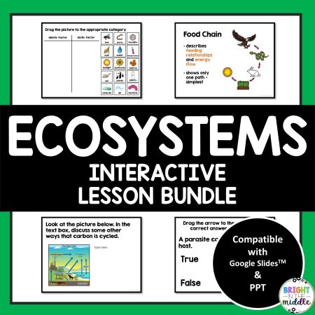 ecosystems lesson bundle