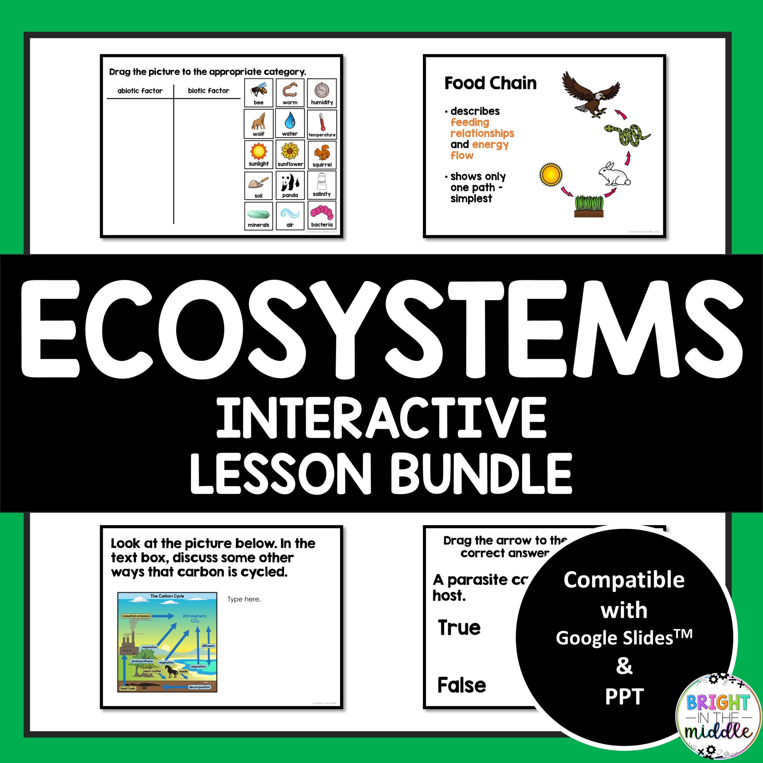 ecosystems lesson bundle