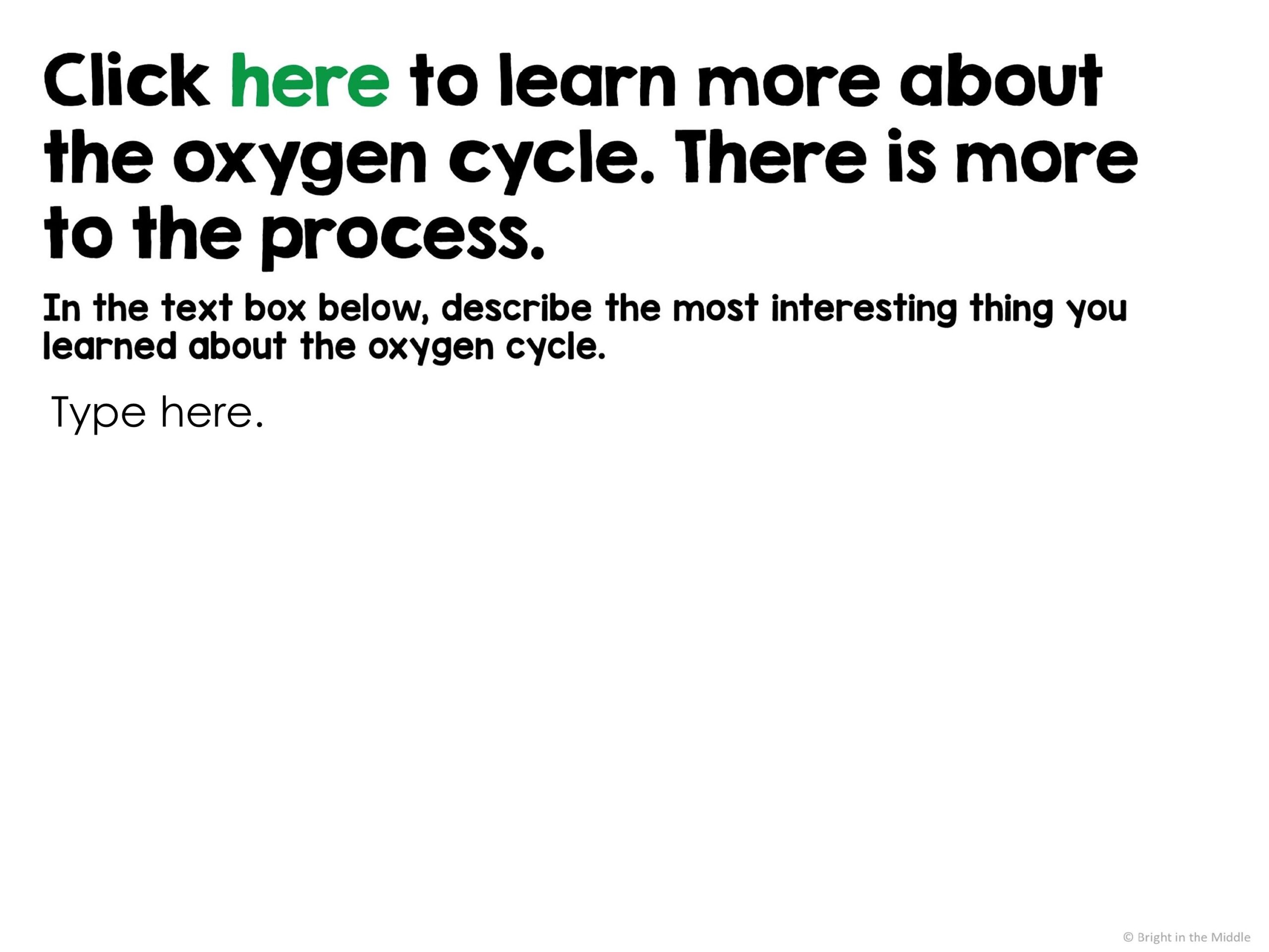 ecosystems lesson bundle 4