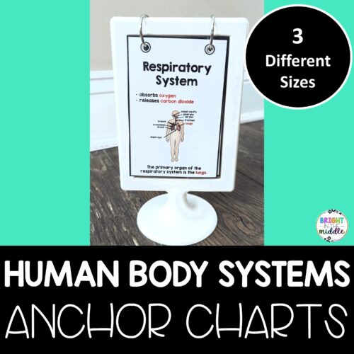 human body systems anchor charts