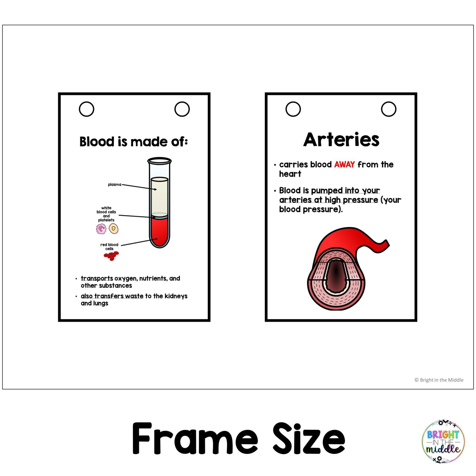 human-body-systems-anchor-chart-1
