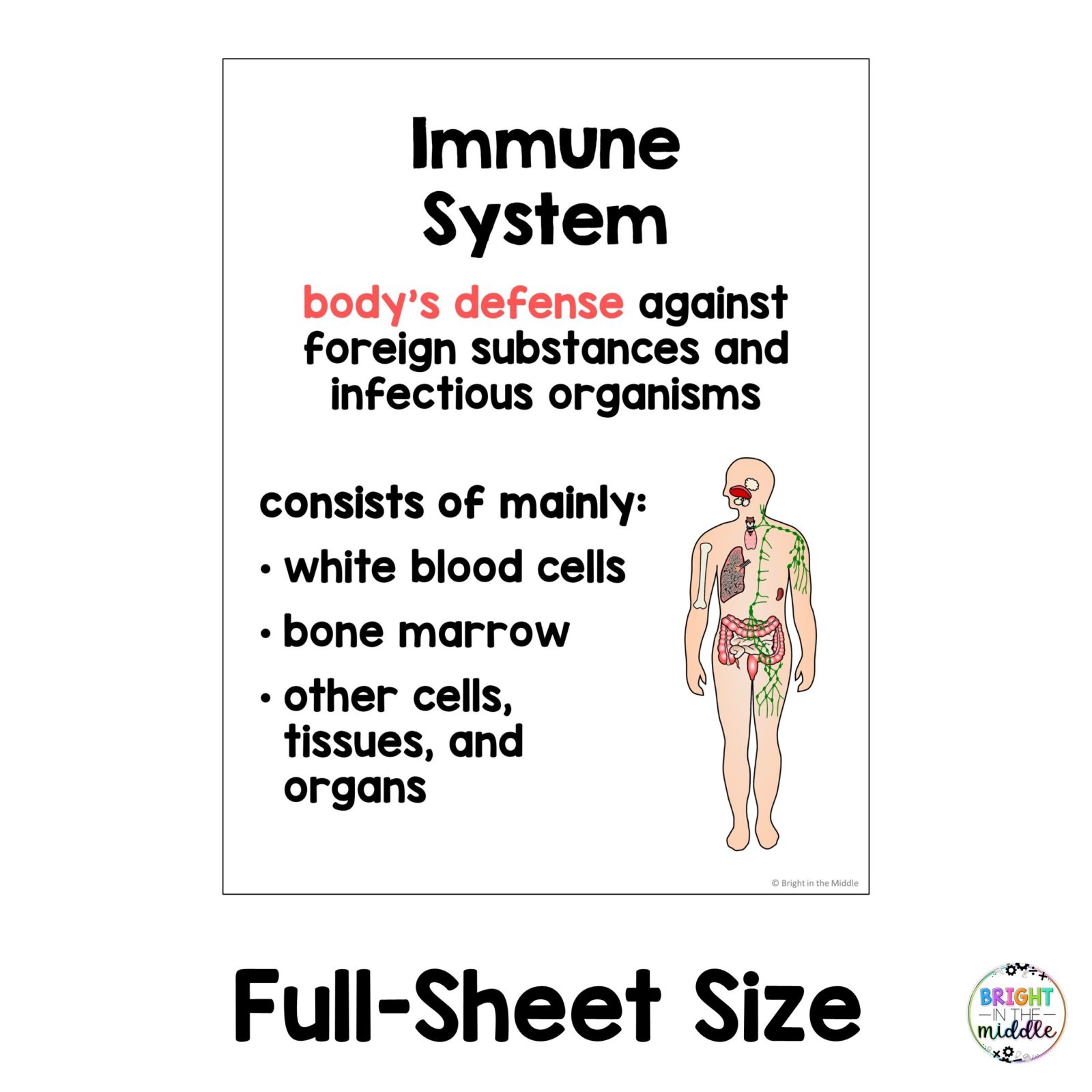 human-body-systems-anchor-chart-3