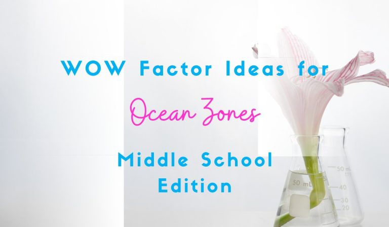 7 Ocean Zones Lesson Ideas that Bring the WOW Factor