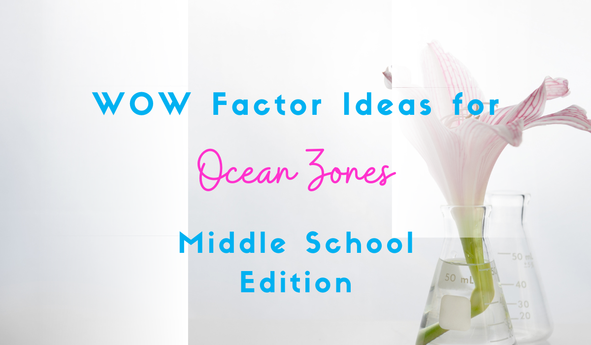 ocean zones lesson