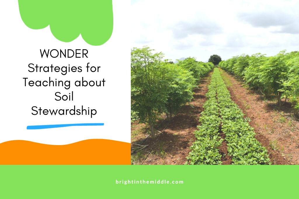 soil-sustainability-introduction