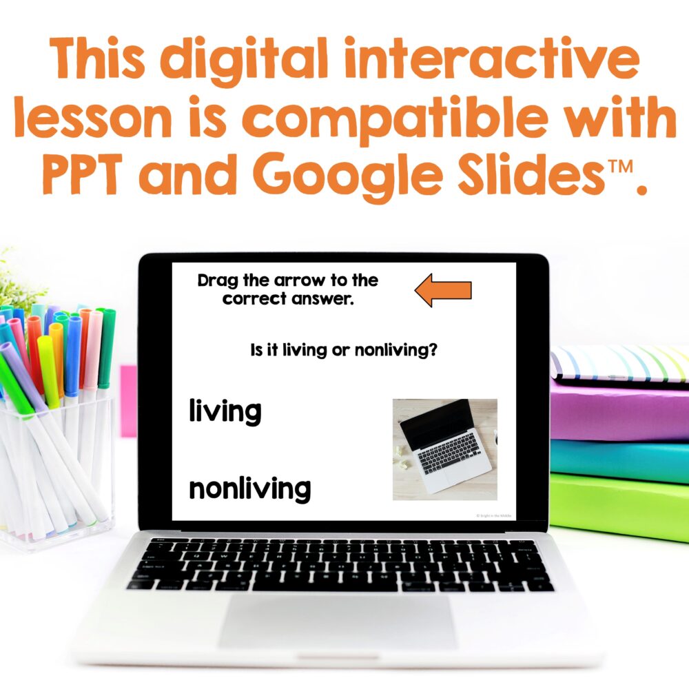 characteristics of living things lesson 2