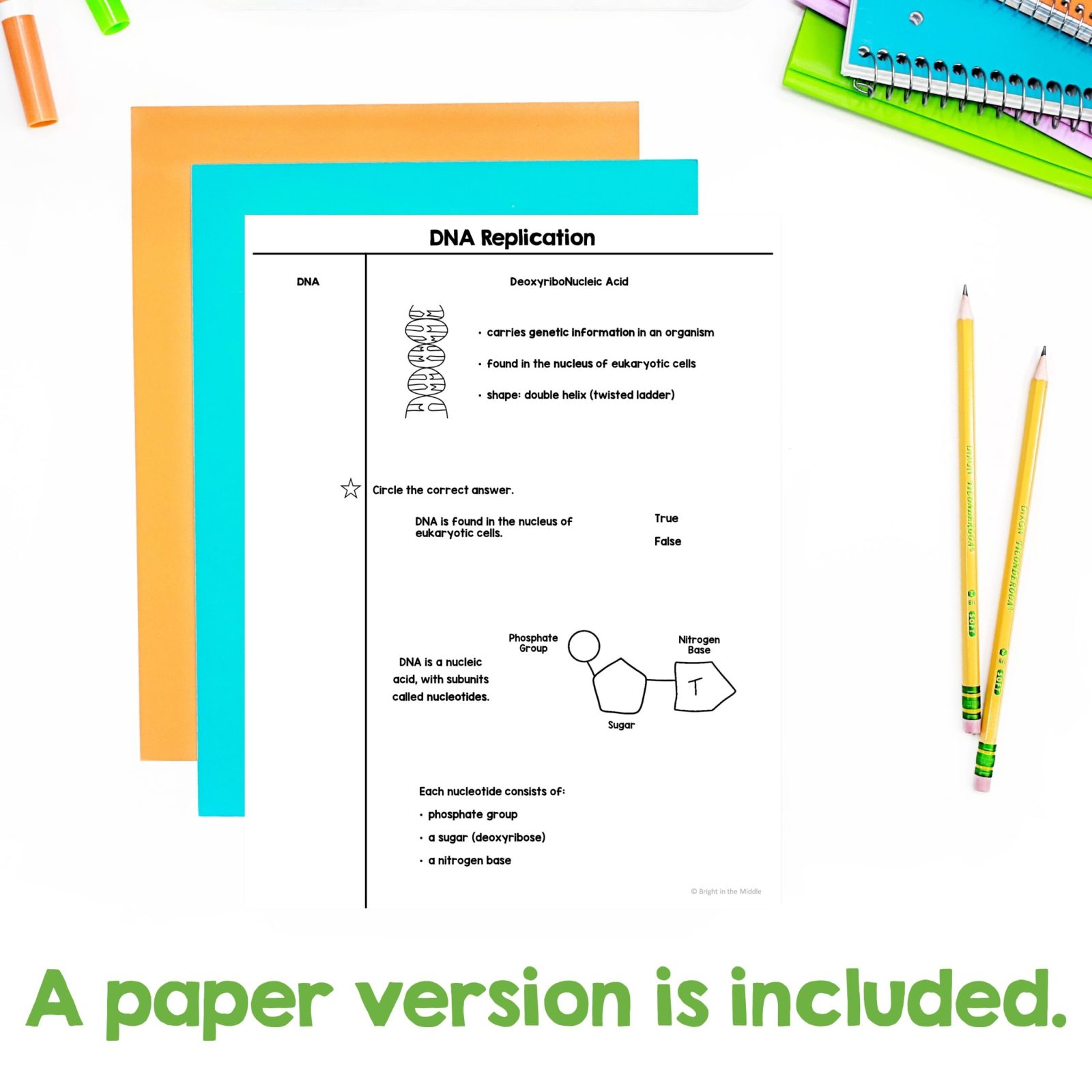 dna-structure-and-dna-replication-lesson-notes-2