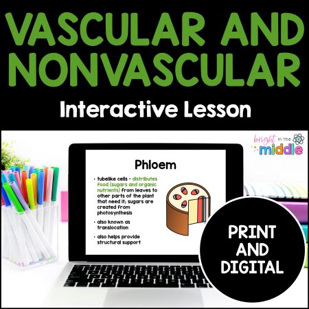 nonvascular and vascular plants
