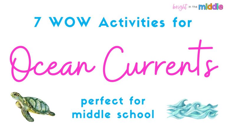 7 Ocean Currents Activities to WOW Your Students