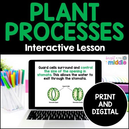 plant processes-1 - middle school lesson cover