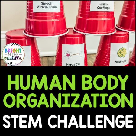 human body levels of organization stem challenge