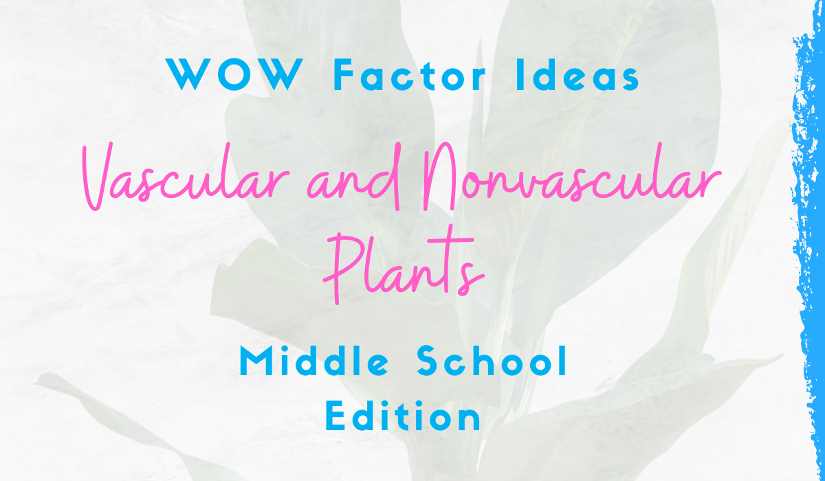 vascular-and-nonvascular-plants-lesson-plan-ideas