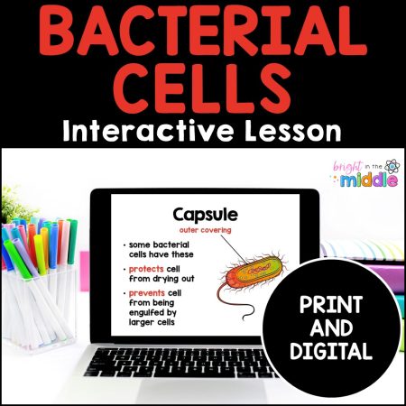 bacterial cell lesson