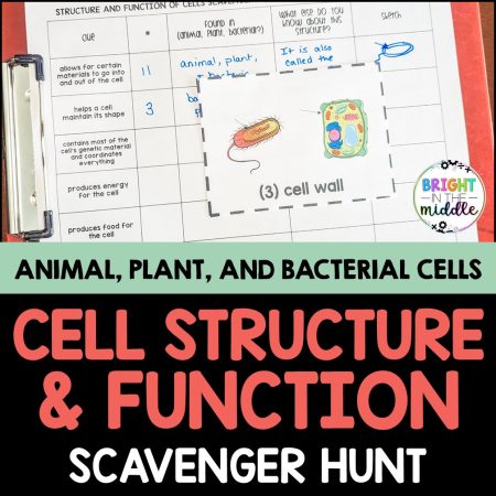 a collage of cell membrane