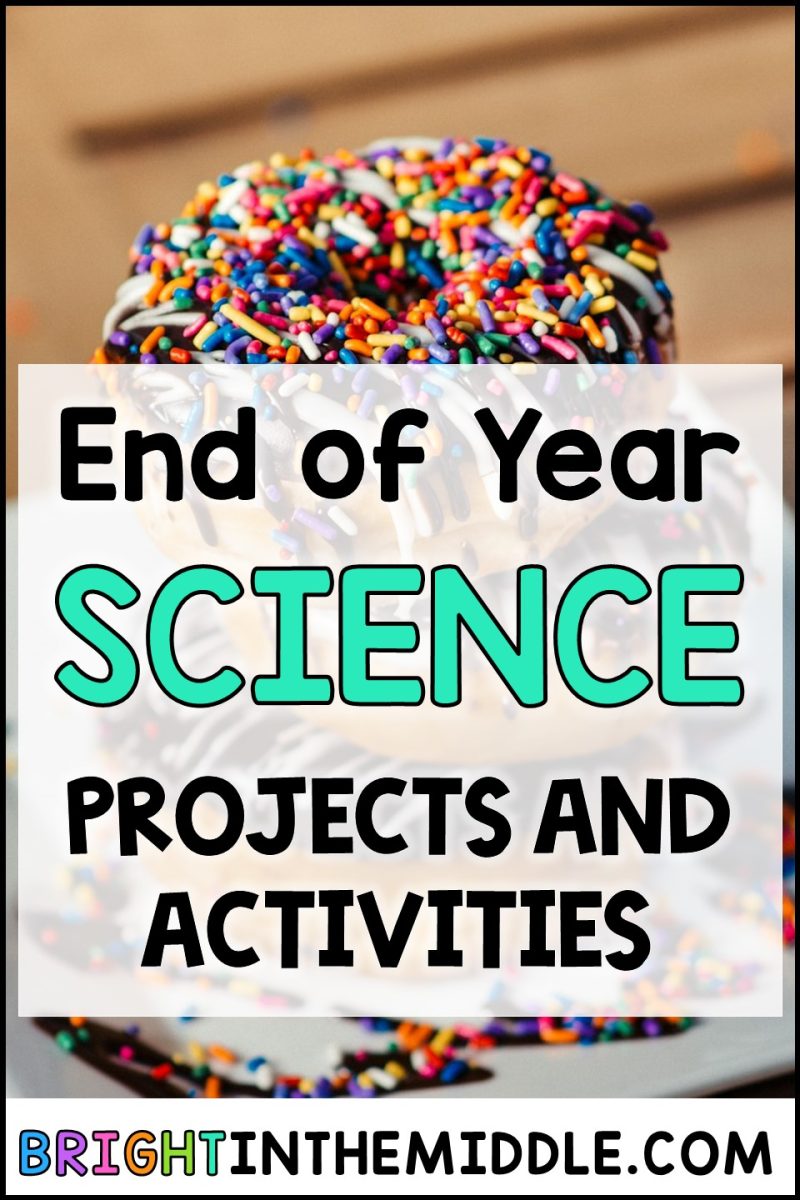5 End of Year Science Projects and Activities to Try - Bright in the Middle