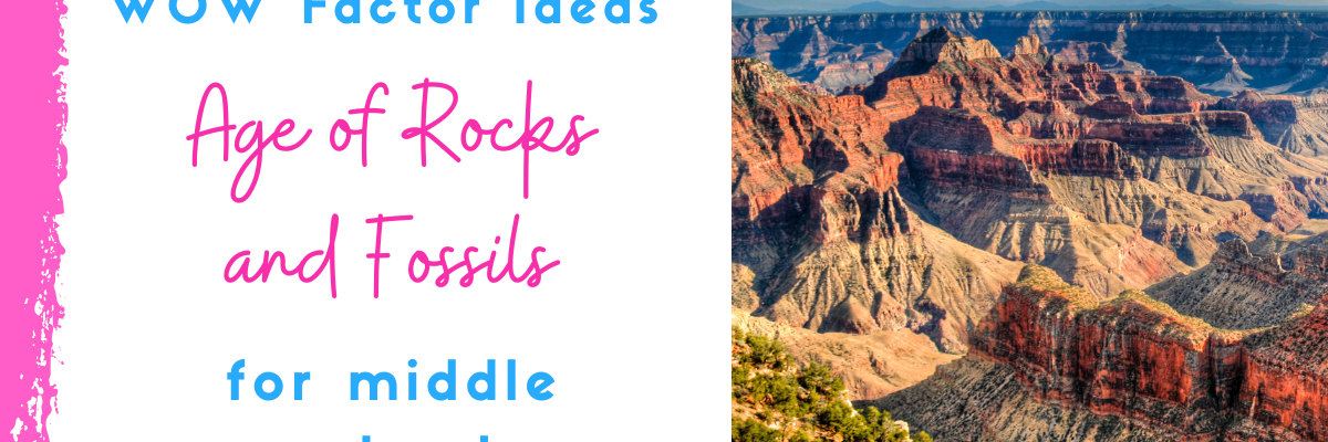 age of rocks and fossils