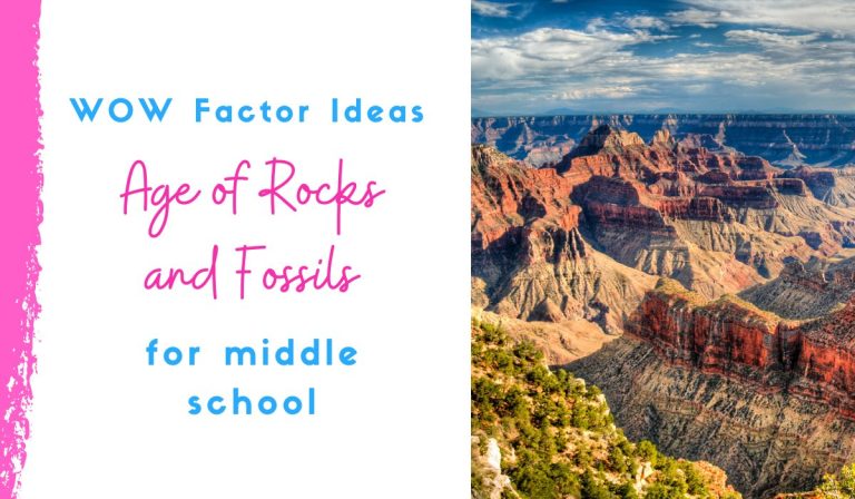 7 WOW Factor Ideas to Teach about the Age of Fossils and Rocks